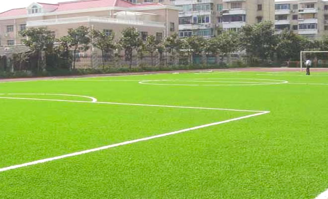 �����ƺ�S�o(h��)�c�B(y��ng)�o(h��)���۝nȥ������