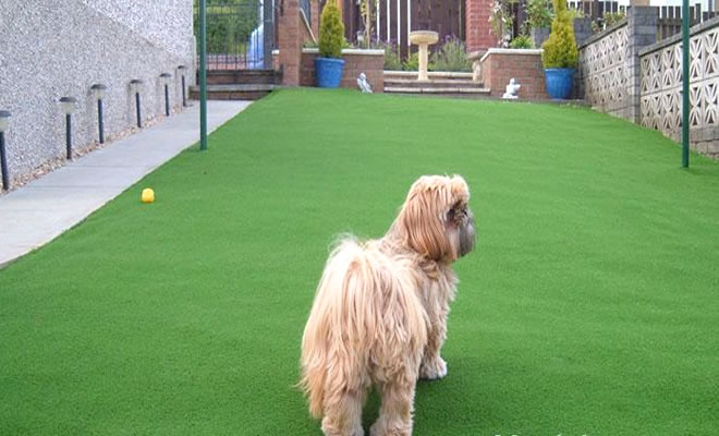 ���e�������ƺʩ������