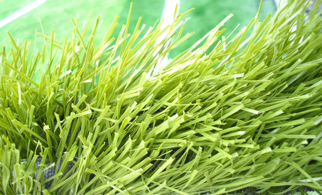 �����ƺ���˹���ƺ�ă��c