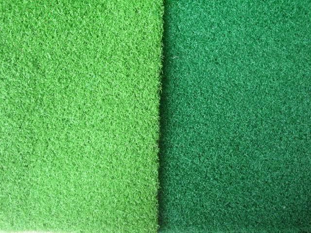 ���eϵ�������ƺ�DƬ�r��