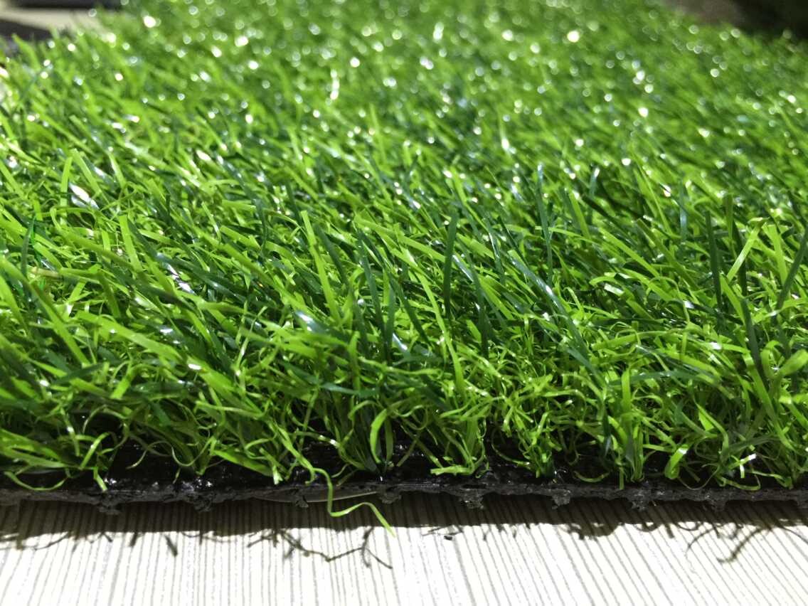 �P�ݕ��������ƺ�r�񼚹��D�aƷ