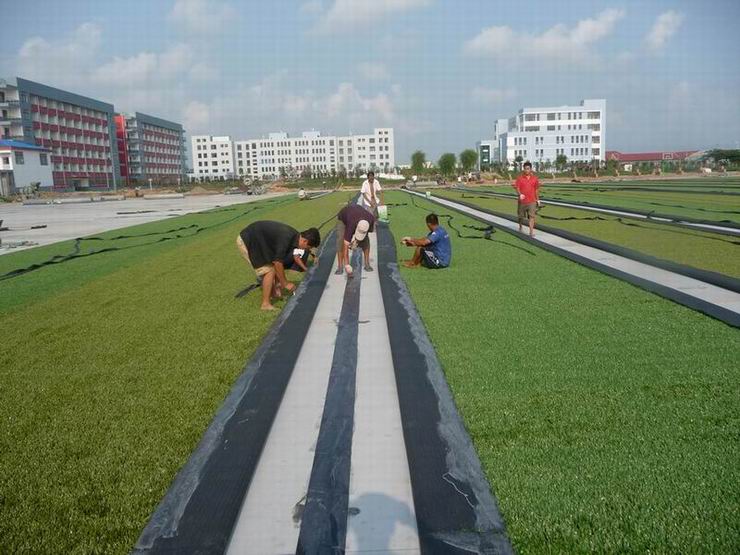 �\(y��n)��(d��ng)�ܵ�����(y��u)��˾�����ƺ�r(ji��)��