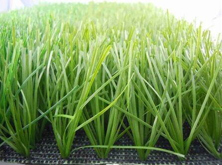 �\(y��n)�ӈ������ƺ�r(ji��)��(x��)��(ji��)�DƬ