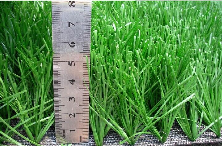 �P(y��ng)���Е���(y��u)�\(y��n)�ӈ������ƺ�r(ji��)��