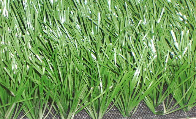 �P��������������ƺ���l