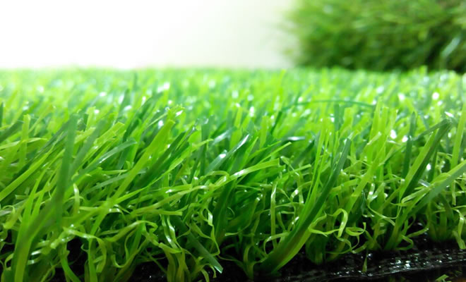 �P���Е�������������ƺʩ�����l