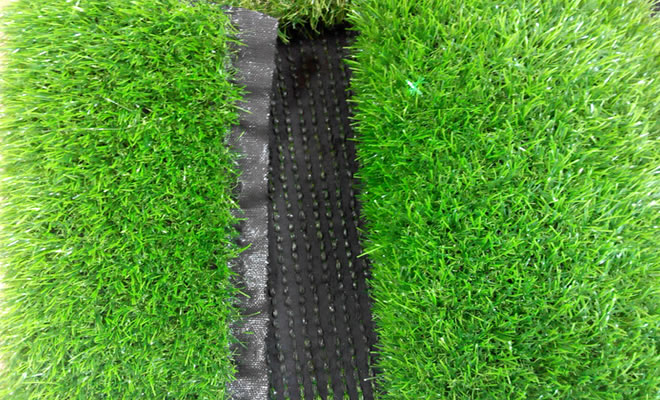 ����������ƺ�ķN���