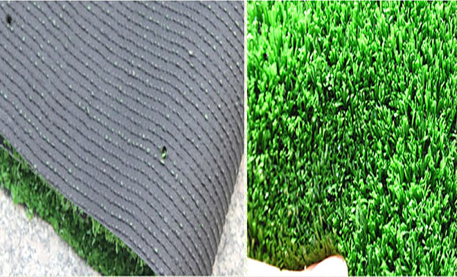 �����ƺ���ϽY��