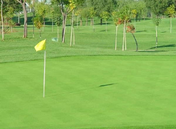 ������r����ƺ�ݵ�Σ��