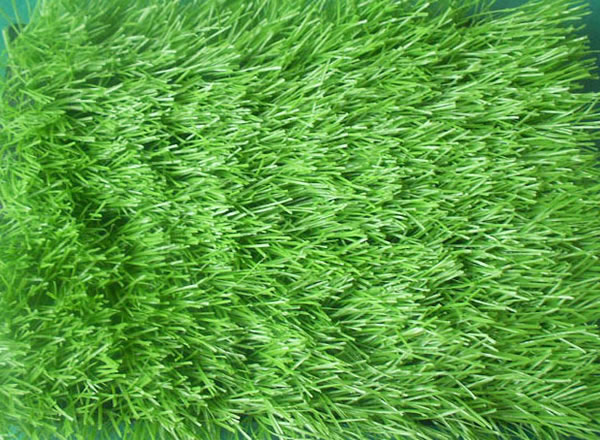 ����h(hu��n)����(du��)�����ƺ��Ӱ�