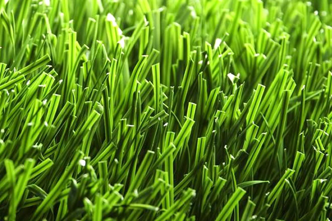 �˹���ƺʩ����������