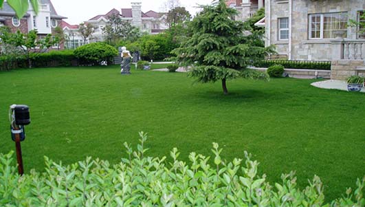 �e���G�������ƺ�r��