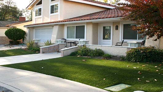 �e���G�������ƺ�r��