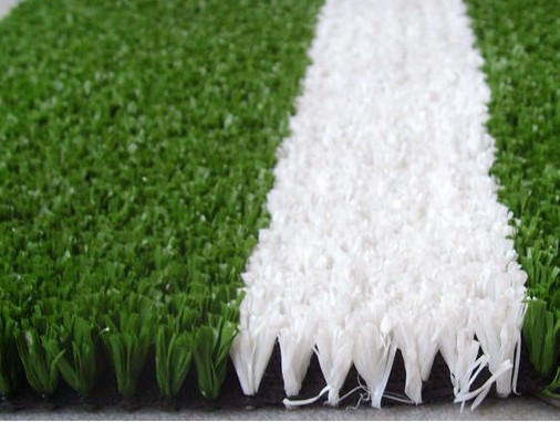 �@��������ƺ�r��29Ԫ