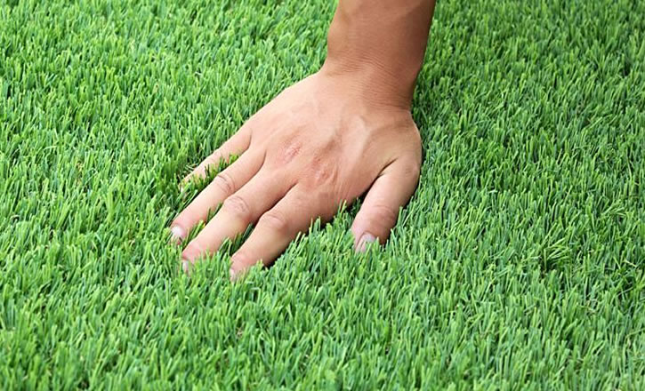 �ؑc�����ƺ���l(f��)�S�҃r(ji��)��