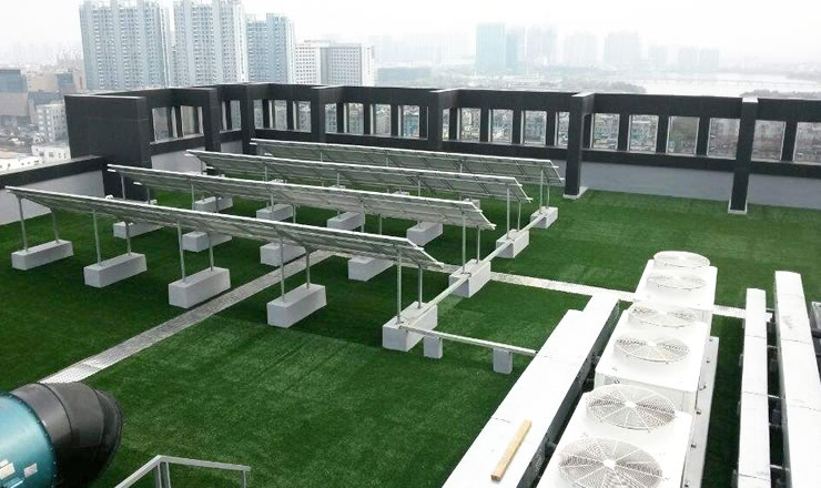 ��_�����ƺ