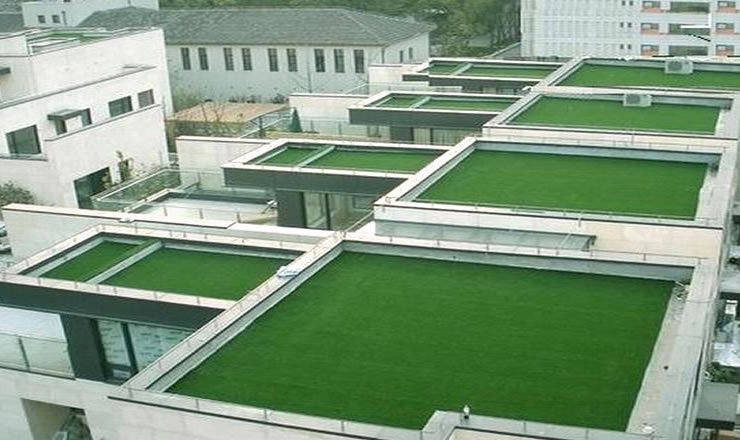 ��������ƺ