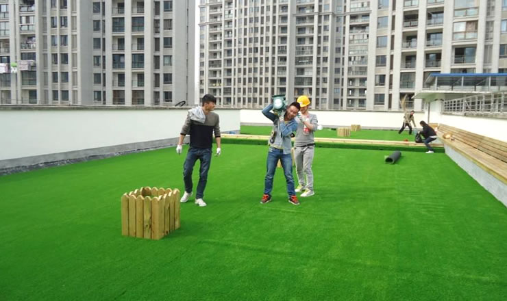 ������������ƺ