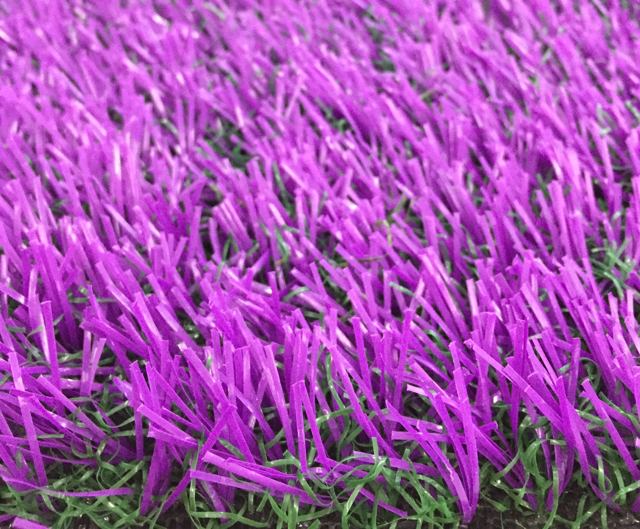 ���������ƺ�׃��@�r��