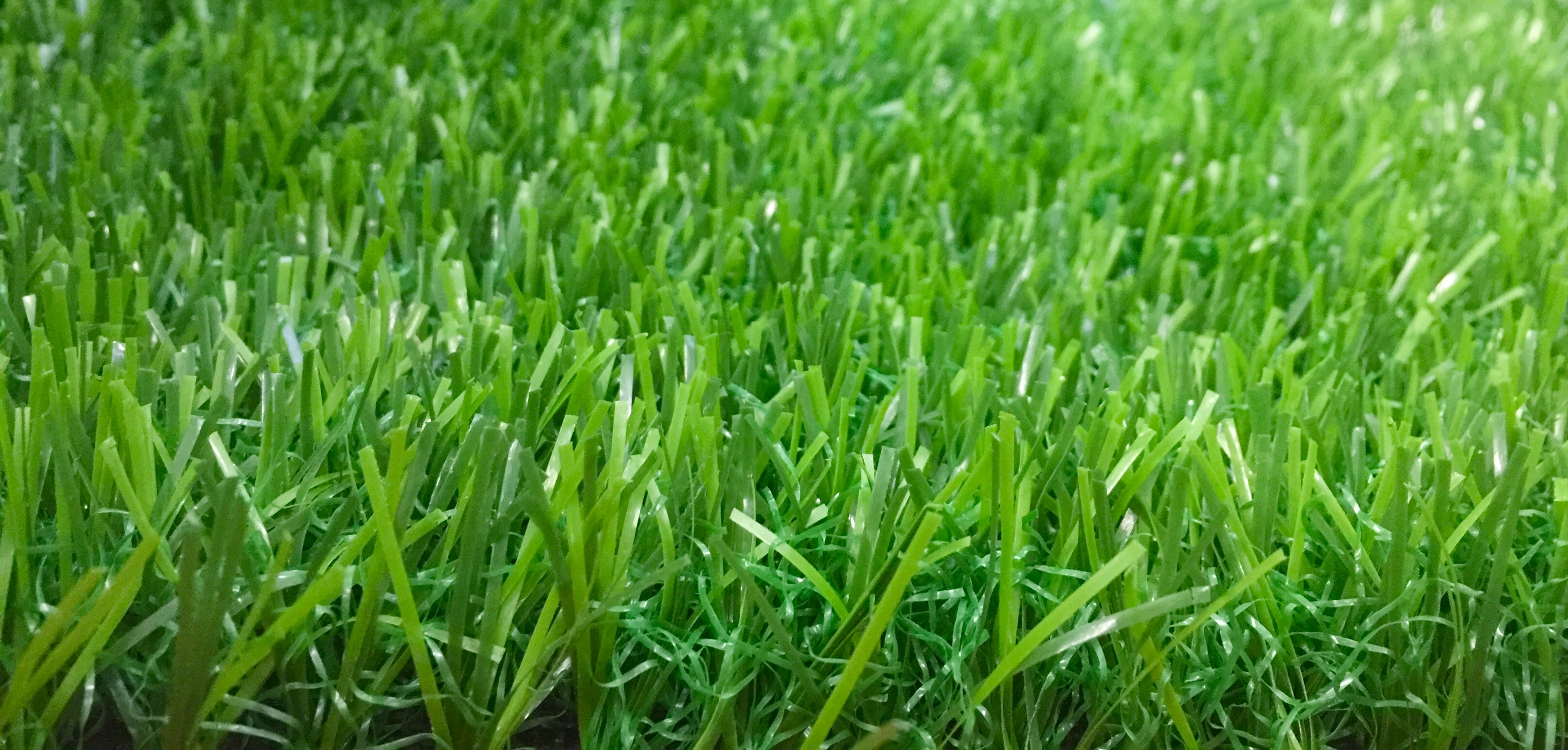 �׃��@�����ƺ�r���ʽ�D